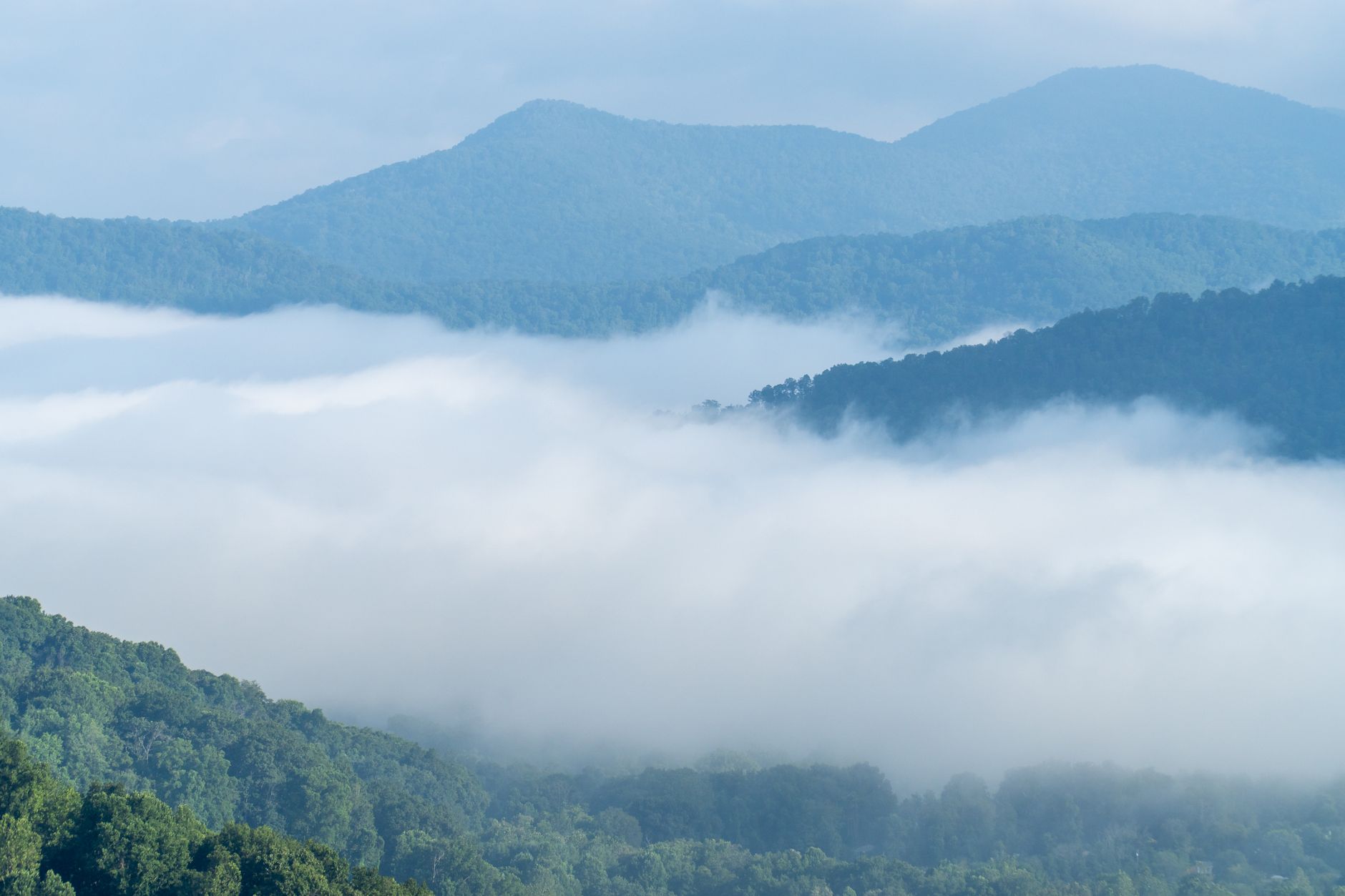 Foggy Blue Ridge Mountains with lush greenery